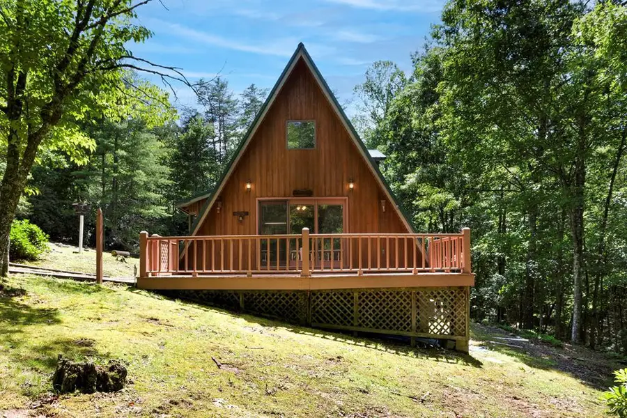 263 Wells Road, Brasstown, NC 28902 - #2