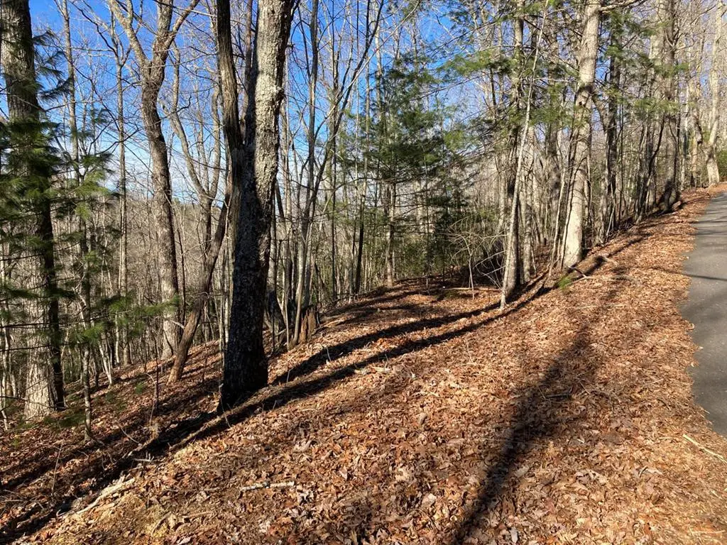 Lot 31 High Ridge Road, Murphy, NC 28906 - #1
