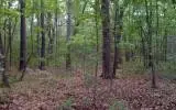 00 Lady Lane, Murphy, NC 28906 - #1