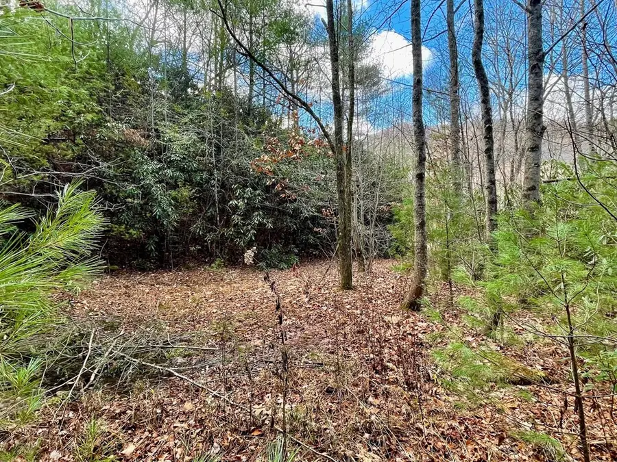 NA W Mill Creek, Robbinsville, NC 28771 - #3