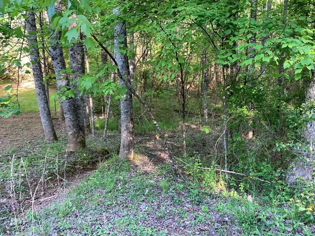 4 Hunter Valley Road, Murphy, NC 28906 - #1