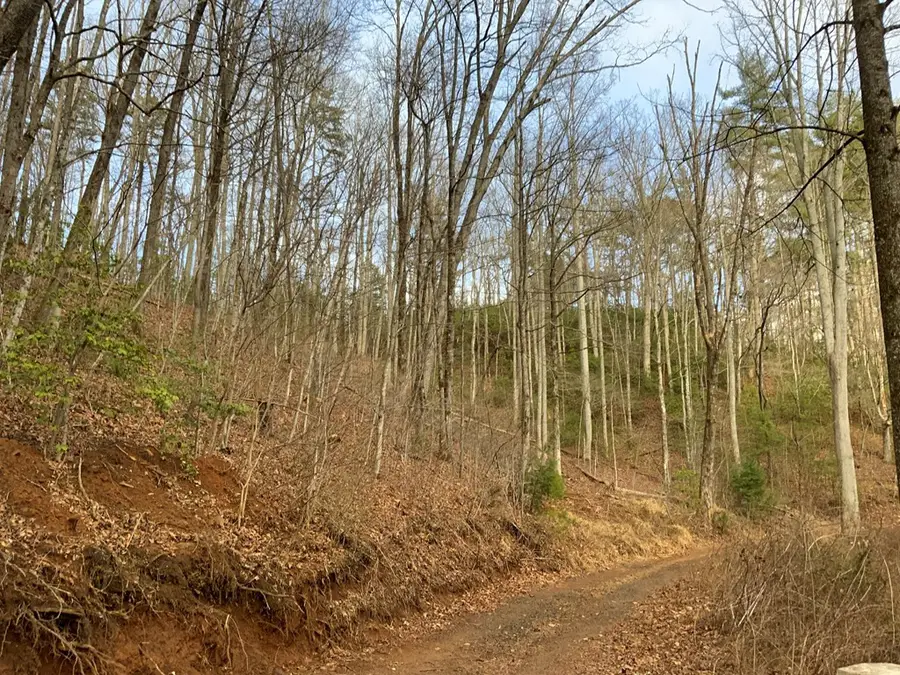 Lot 4 Ivy Log Road, Murphy, NC 28906 - #2