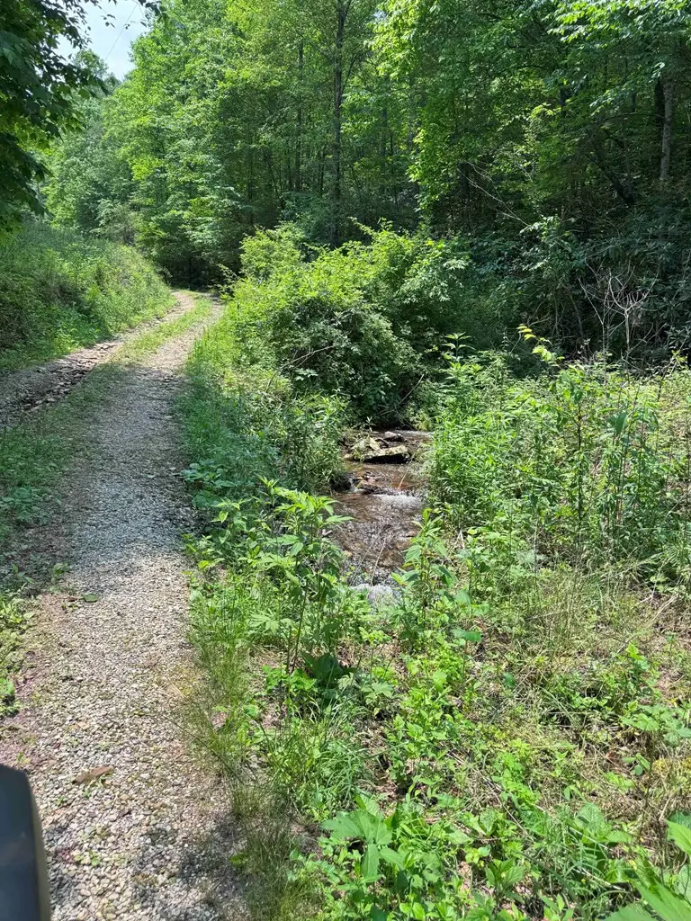 88 acres Bolden Branch, Andrews, NC 28901 - #3