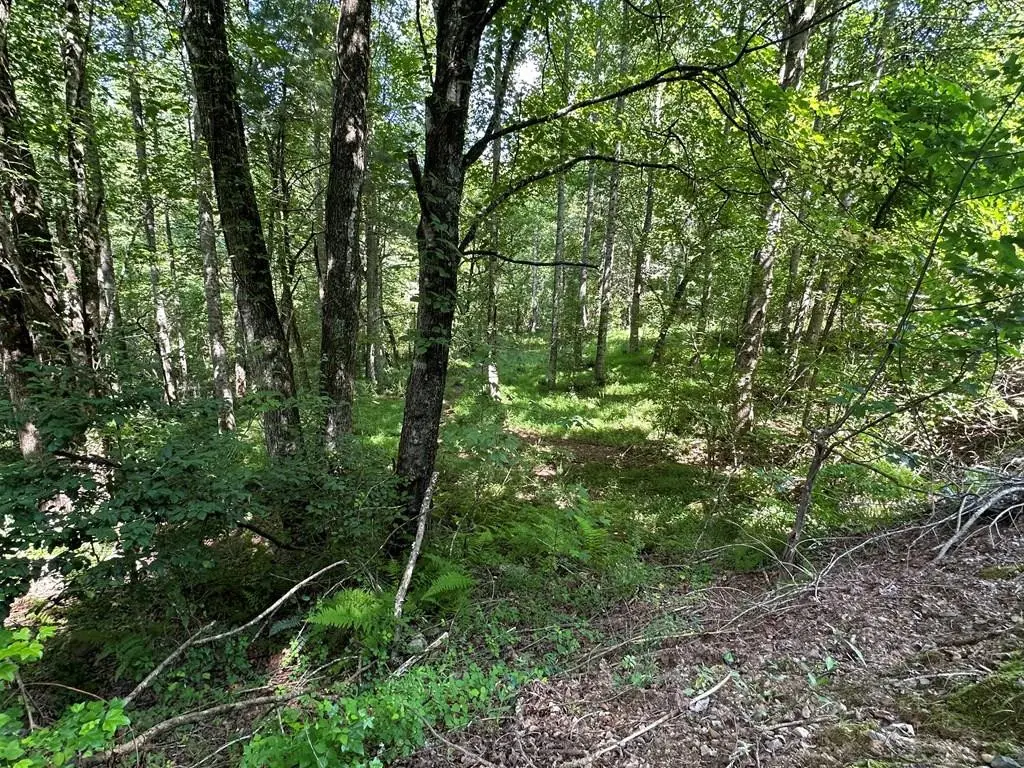 00 Choctaw Ridge Trail, Murphy, NC 28906 - #1