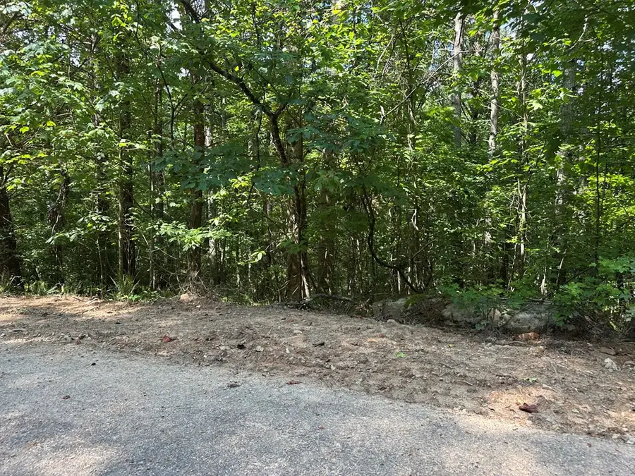 00 Choctaw Ridge Trail, Murphy, NC 28906 - #3
