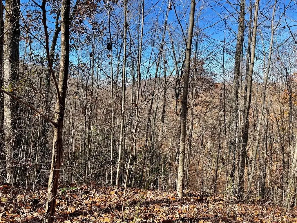 Lot 49J Indian Trail, Hayesville, NC 28904 - #1