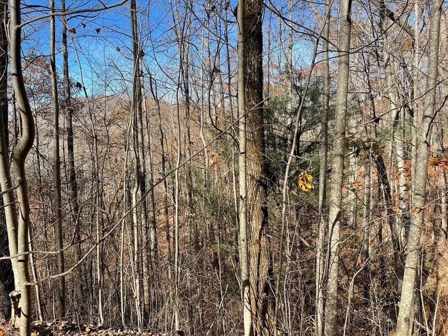 Lot 49J Indian Trail, Hayesville, NC 28904 - #3