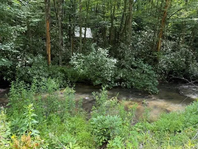 7656 Little Snowbird Road, Robbinsville, NC 28771 - #1