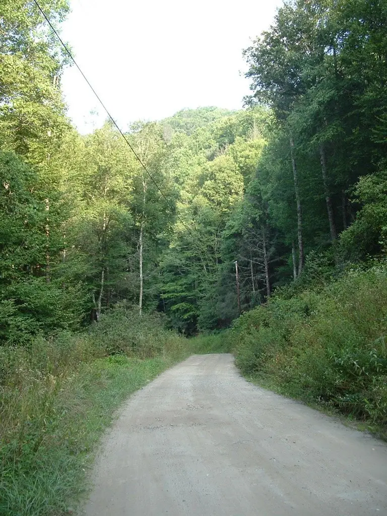 7656 Little Snowbird Road, Robbinsville, NC 28771 - #3