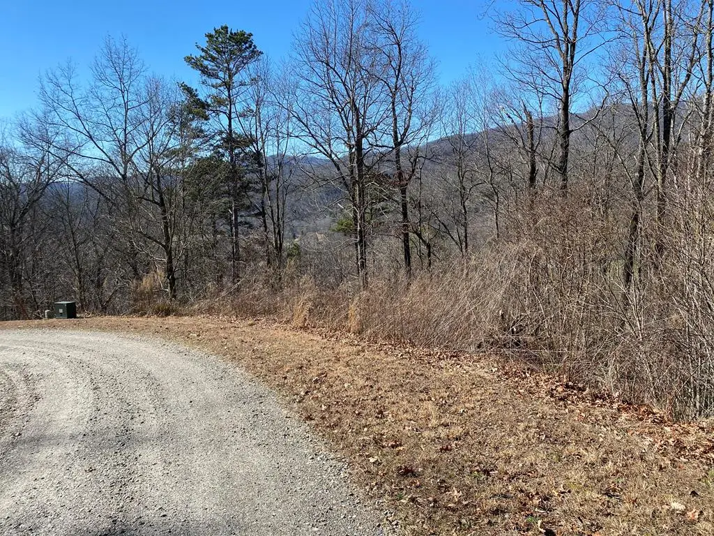 Lot 42 Silo View, Marble, NC 28905 - #1