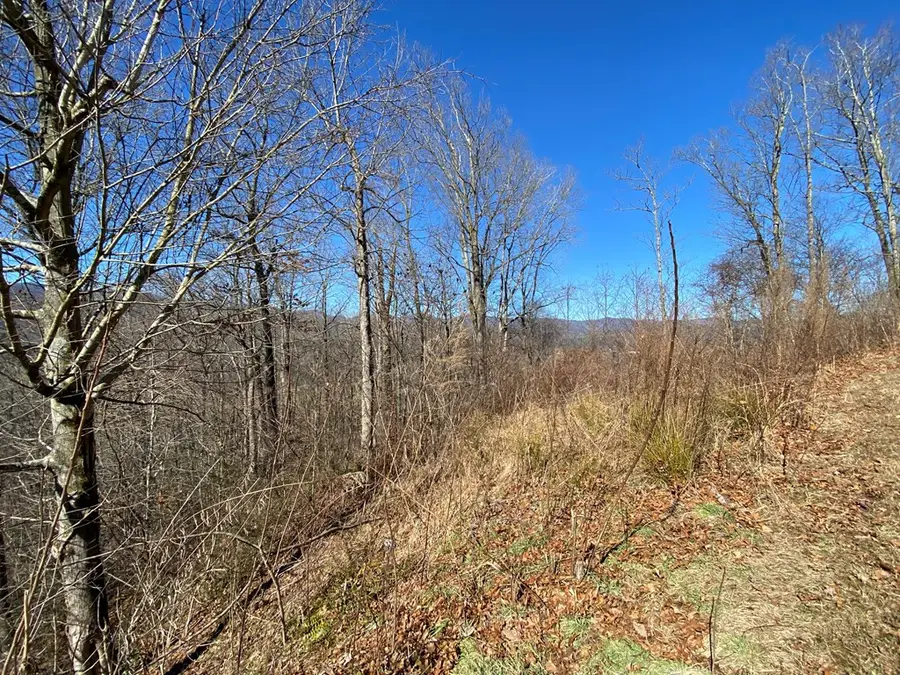 Lot 42 Silo View, Marble, NC 28905 - #3