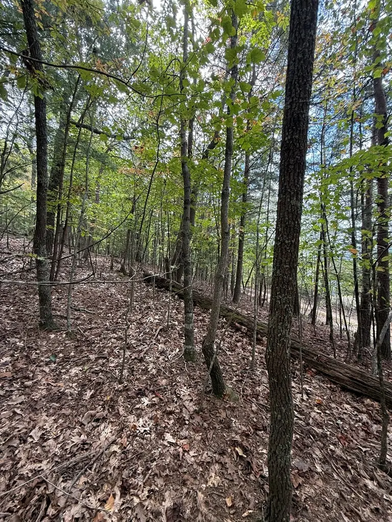 Lot 15 Timber Lane Estates, Murphy, NC 28906 - #2