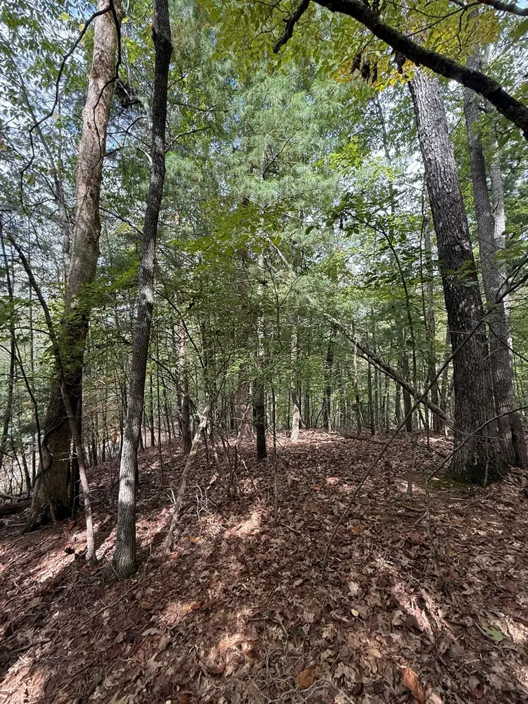 Lot 15 Timber Lane Estates, Murphy, NC 28906 - #3