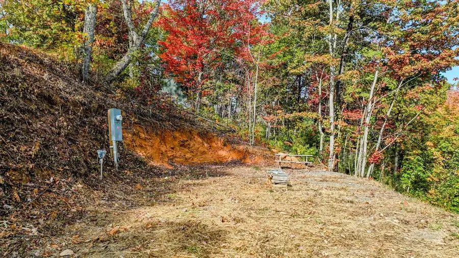 674 Warbler Road, Murphy, NC 28906 - #3