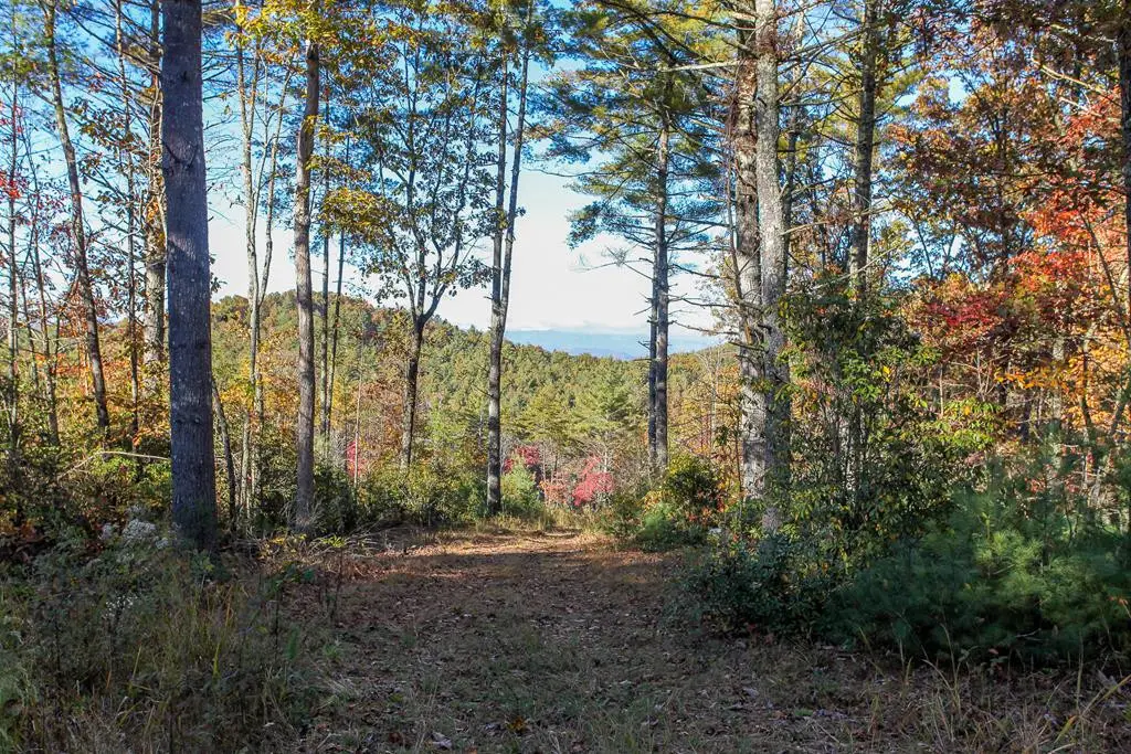 26/27 Bear Ridge Trail, Murphy, NC 28906 - #1