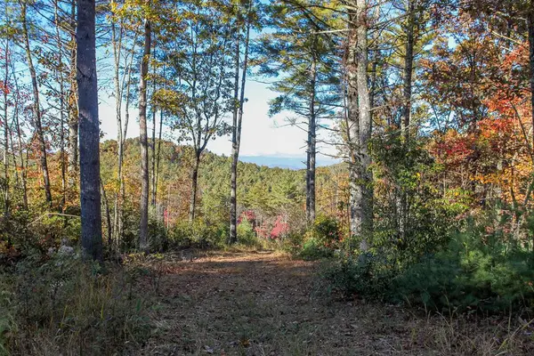 26/27 Bear Ridge Trail, Murphy, NC 28906