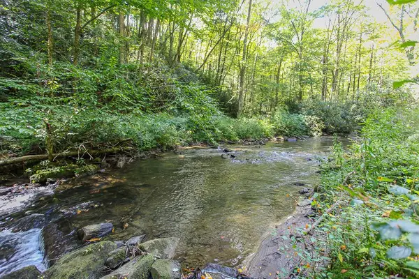 9765 Little Snowbird Road, Robbinsville, NC 28771