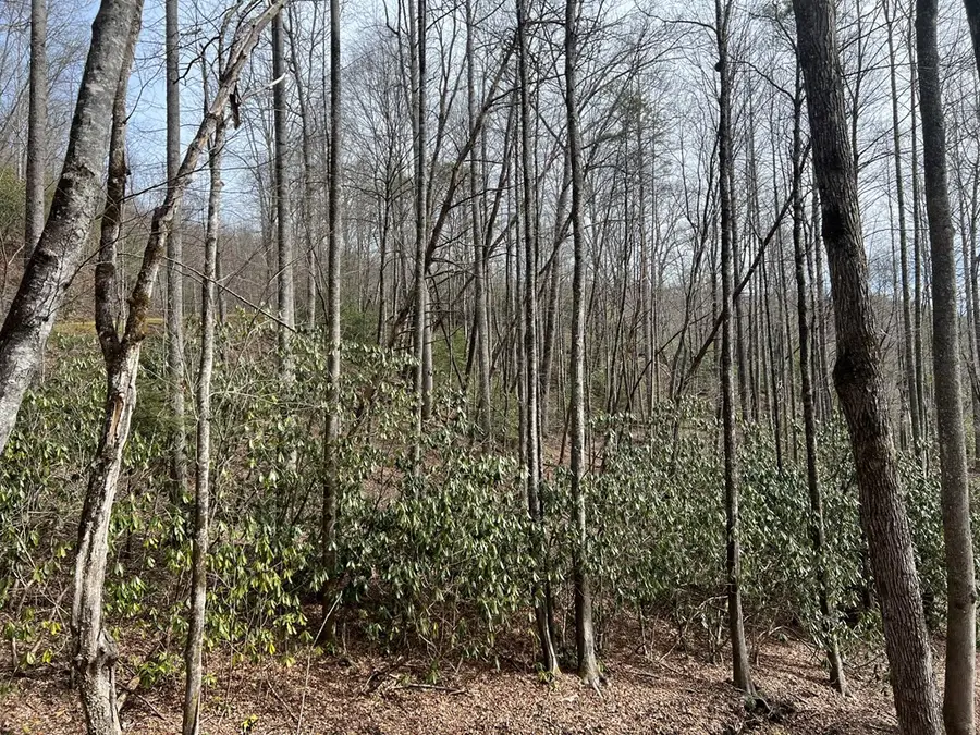 Lot 18 Black Bear Trail, Nantahala, NC 28781 - #2