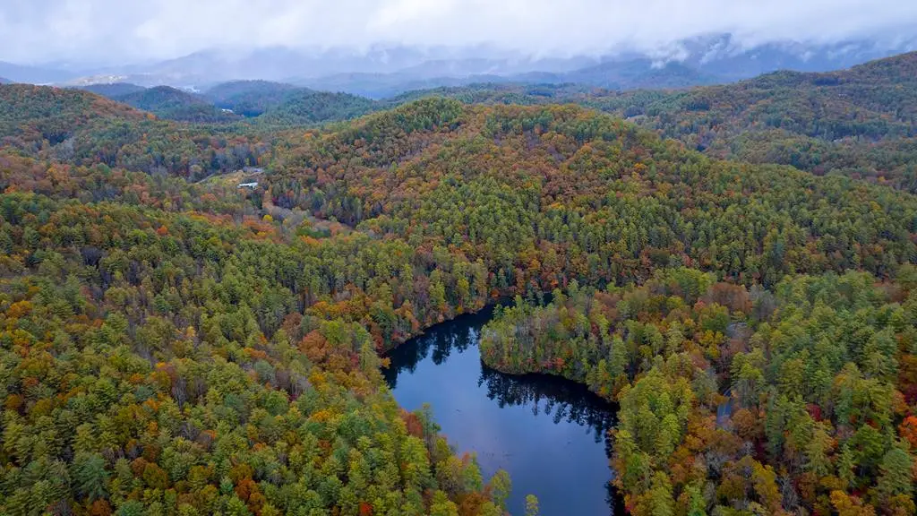 3549P Snowbird Road, Robbinsville, NC 28771 - #1