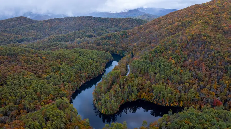 3549P Snowbird Road, Robbinsville, NC 28771 - #2