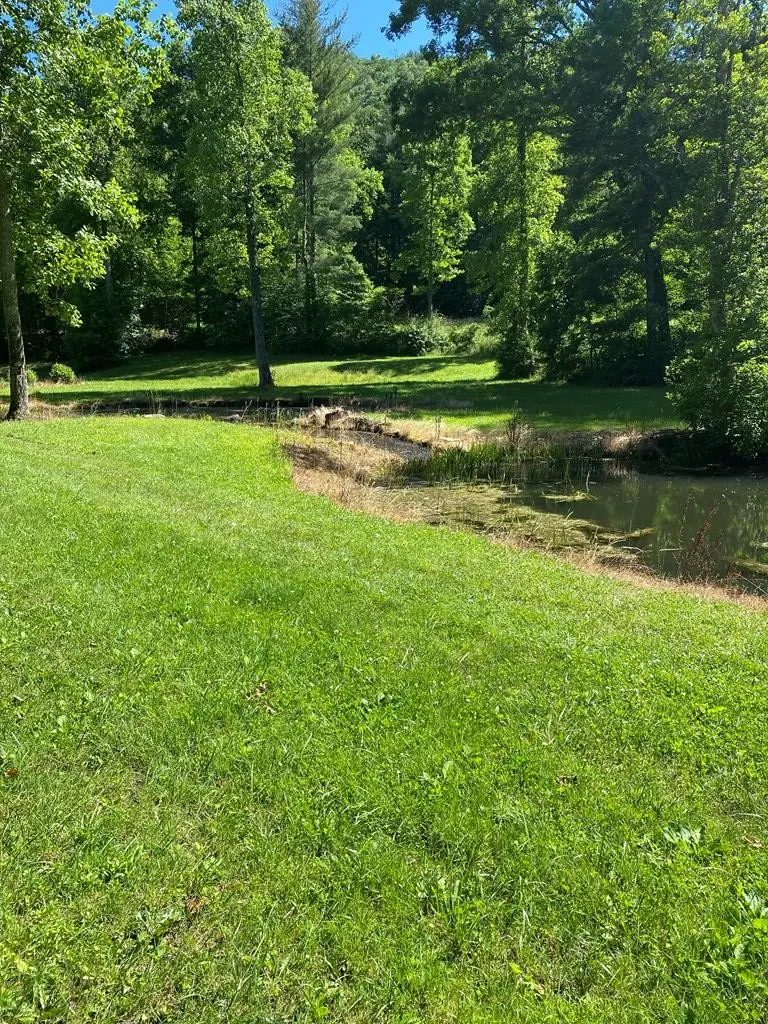 00 Deer Run, Robbinsville, NC 28771 - #1