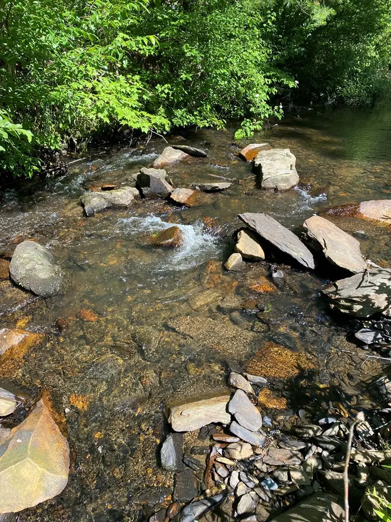 00 Deer Run, Robbinsville, NC 28771 - #3