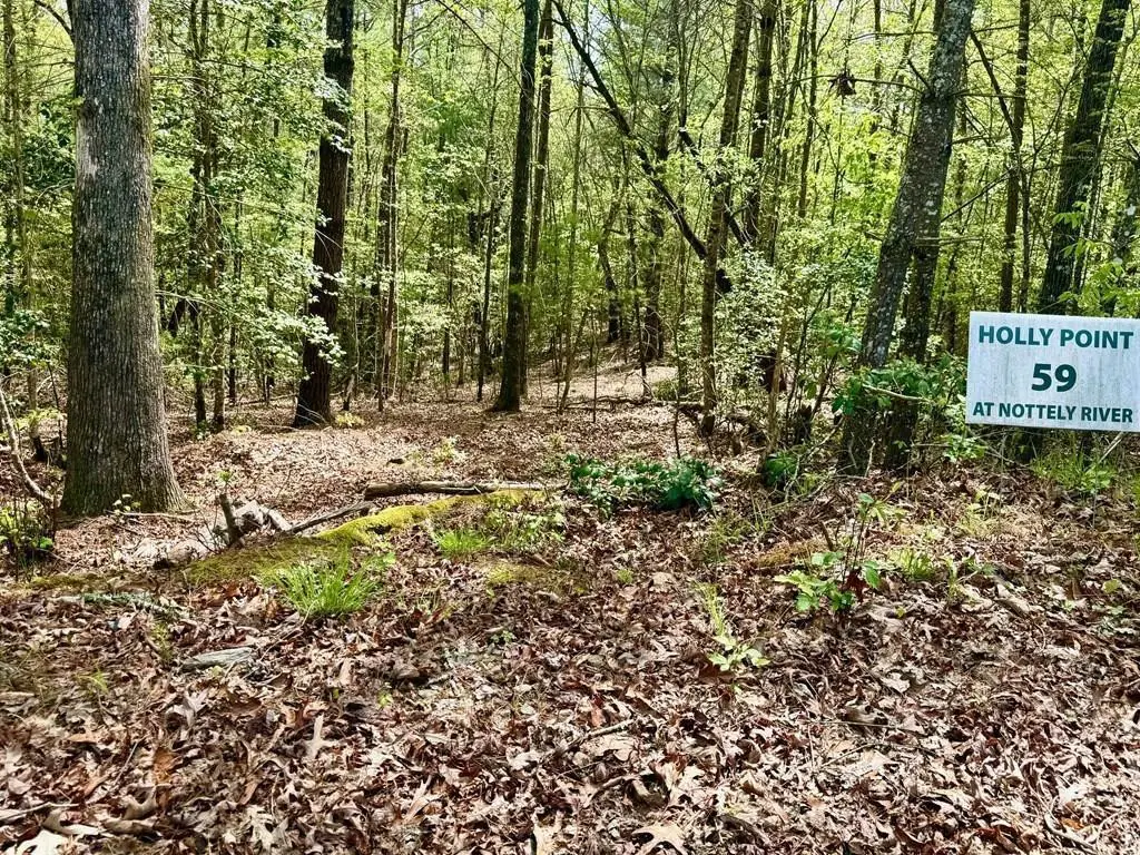 2.07 Ac Rainy Farm Road, Murphy, NC 28906 - #1