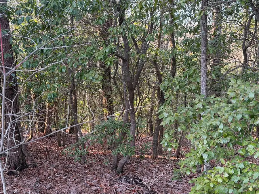 Lot #118 Royal View Landing, Murphy, NC 28906 - #3