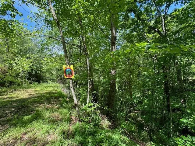 Lot 15 Paradise, Marble, NC 28905 - #2