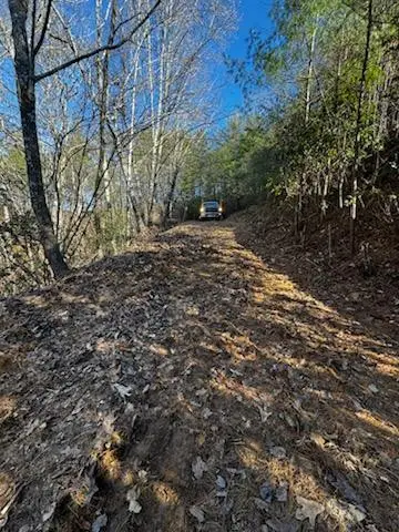 Lot 15 Paradise, Marble, NC 28905 - #3