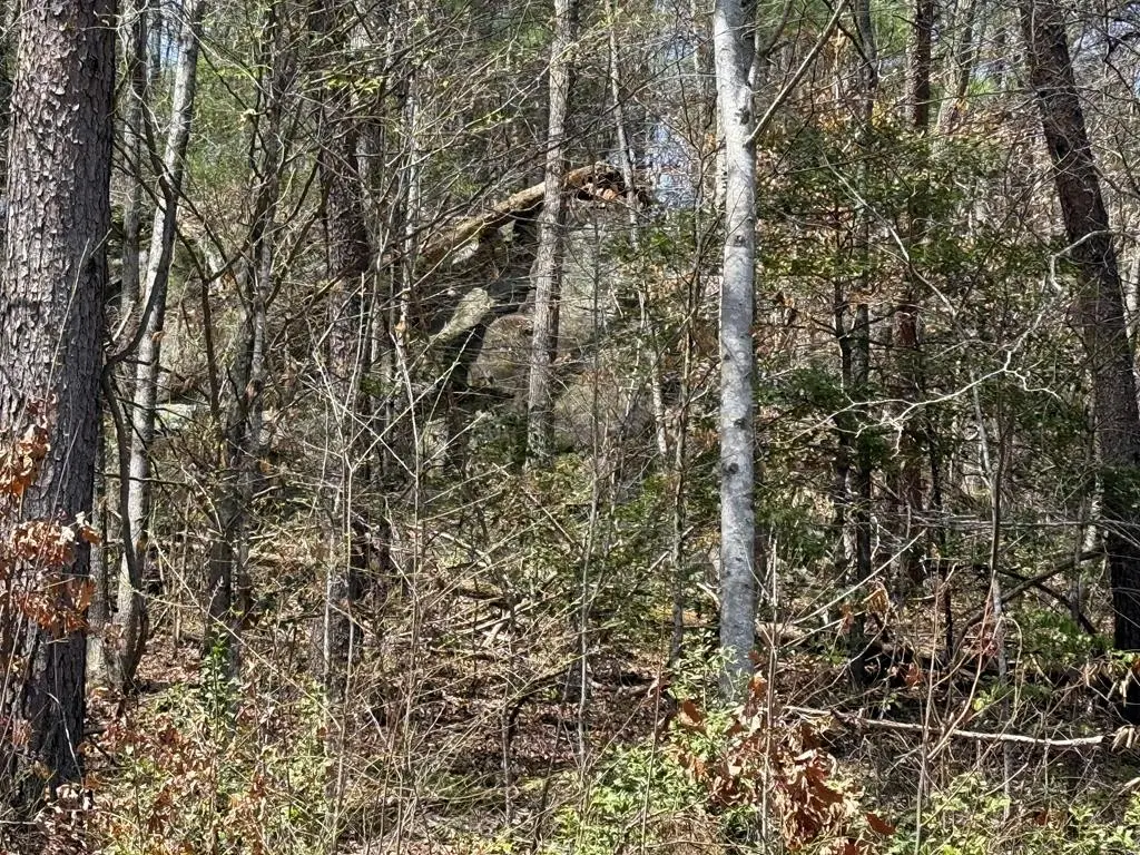 0 Morrow Road, Murphy, NC 28906 - #1