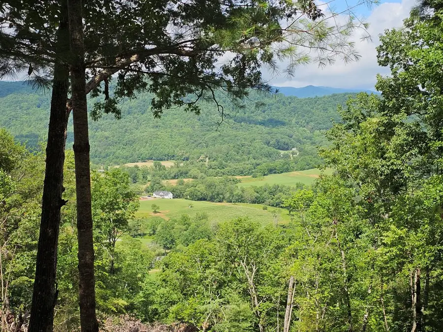 Lot # 17 Buckhead Hills Subdivision, Hiawassee, GA 30546 - #3