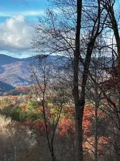 TBD Upper Peachtree Road, Murphy, NC 28906 - #3