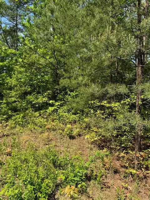 Lot 12 Paradise, Marble, NC 28905 - #1