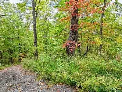 Lot 23 Skyview, Hayesville, NC 28904 - #1
