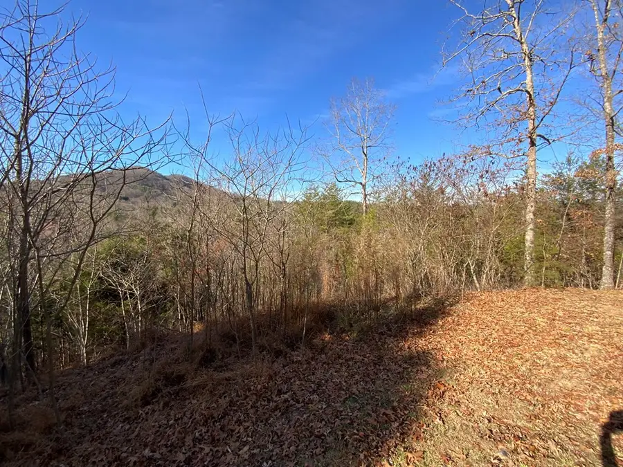 00 Brasstown View, Murphy, NC 28906 - #2
