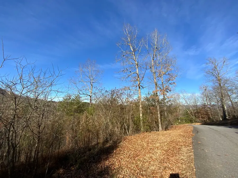 00 Brasstown View, Murphy, NC 28906 - #3