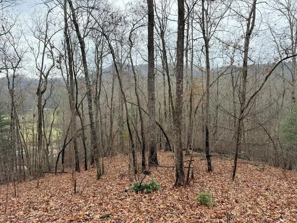 0 Flaming Ridge, Hayesville, NC 28904 - #1