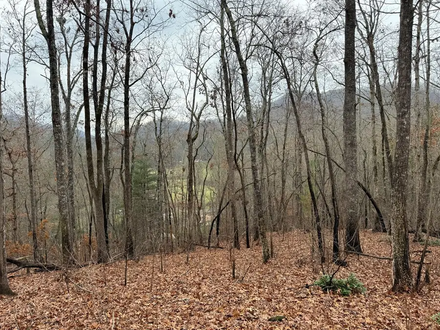 0 Flaming Ridge, Hayesville, NC 28904 - #2