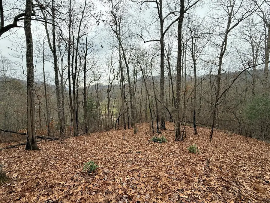 0 Flaming Ridge, Hayesville, NC 28904 - #3