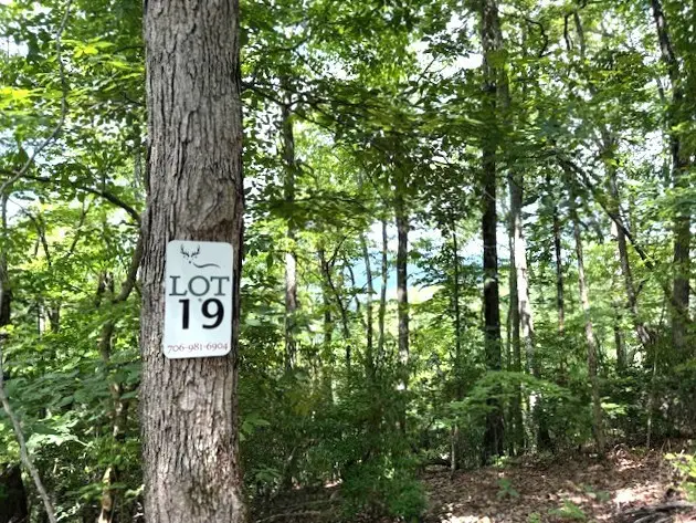 Lot 19 Buckhead, Hiawassee, GA 30546 - #3