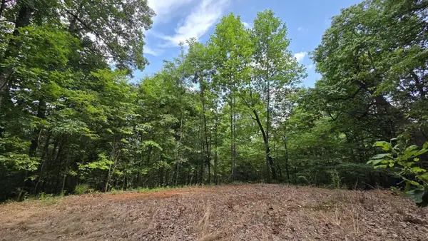 75 Talon Drive, Murphy, NC 28906