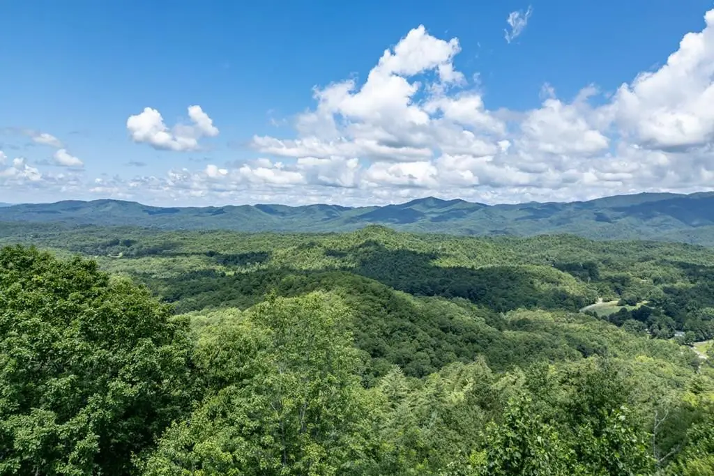 Lot 111C Puett Cove Estates, Marble, NC 28905 - #1