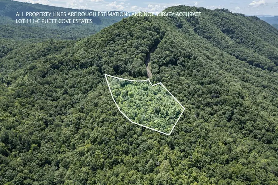 Lot 111C Puett Cove Estates, Marble, NC 28905 - #2