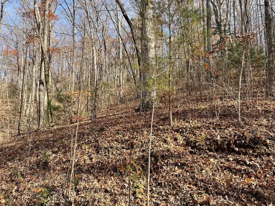 Lots Ash Branch View, Hayesville, NC 28904 - #3