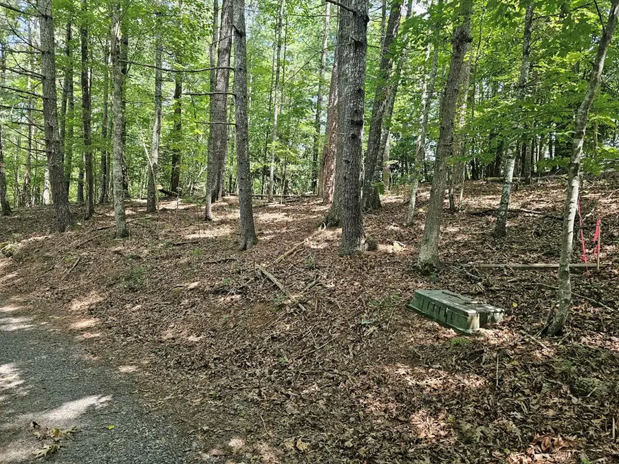 Lot C Nottley Ridge, Murphy, NC 28906 - #2
