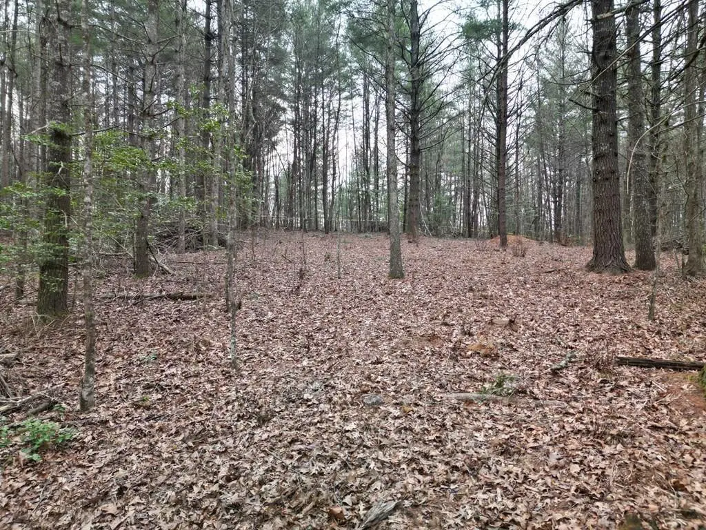 Lot #29 Liberty Road, Murphy, NC 28906 - #1
