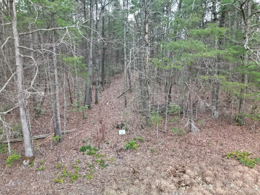 Lot #29 Liberty Road, Murphy, NC 28906 - #2
