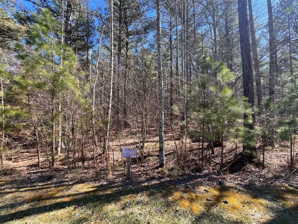 Lot 50 Deyton Drive, Blairsville, GA 30512 - #1