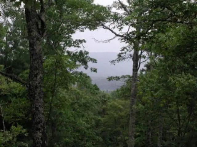 19d&E Braves Landing, Murphy, NC 28906 - #1